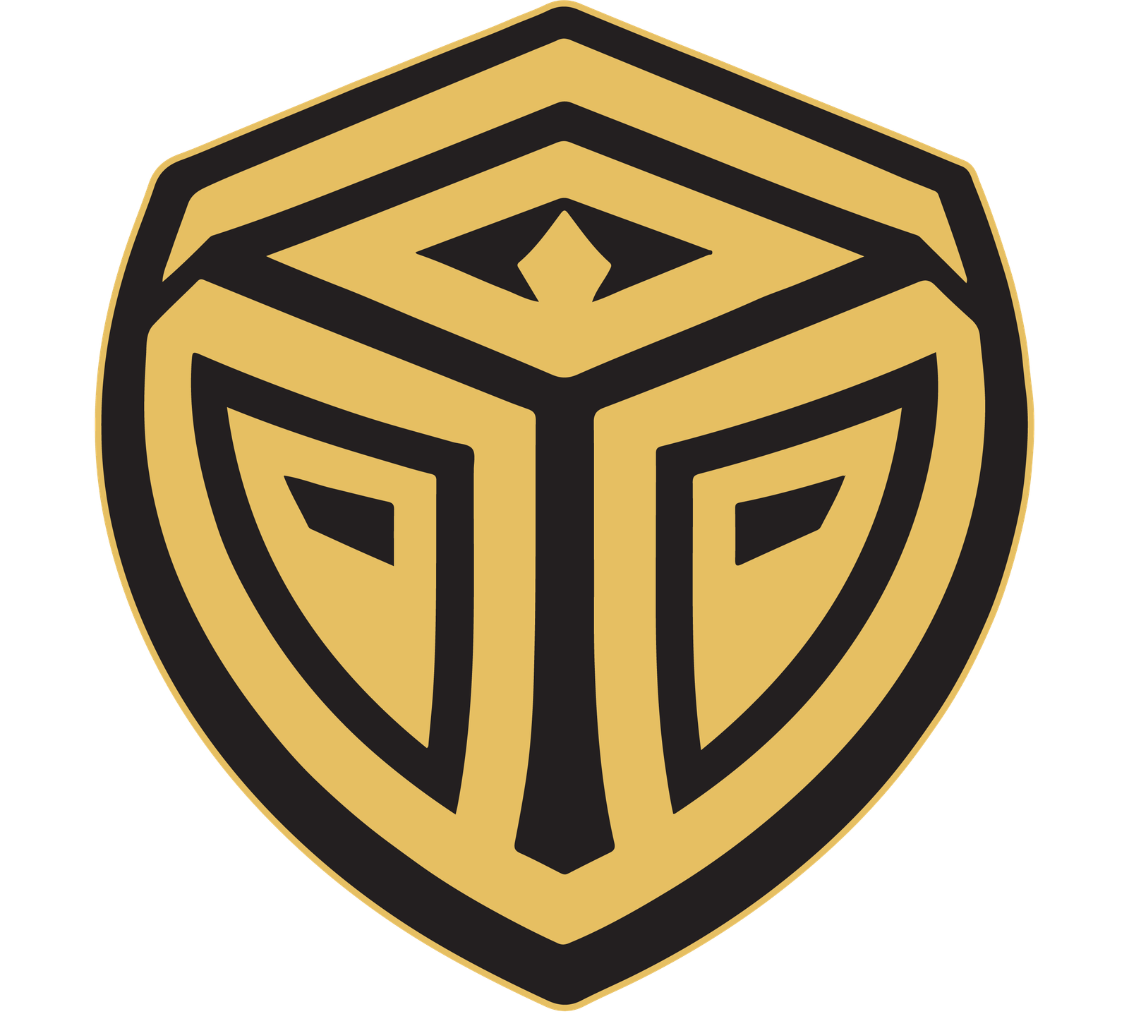 Tobit International Logo
